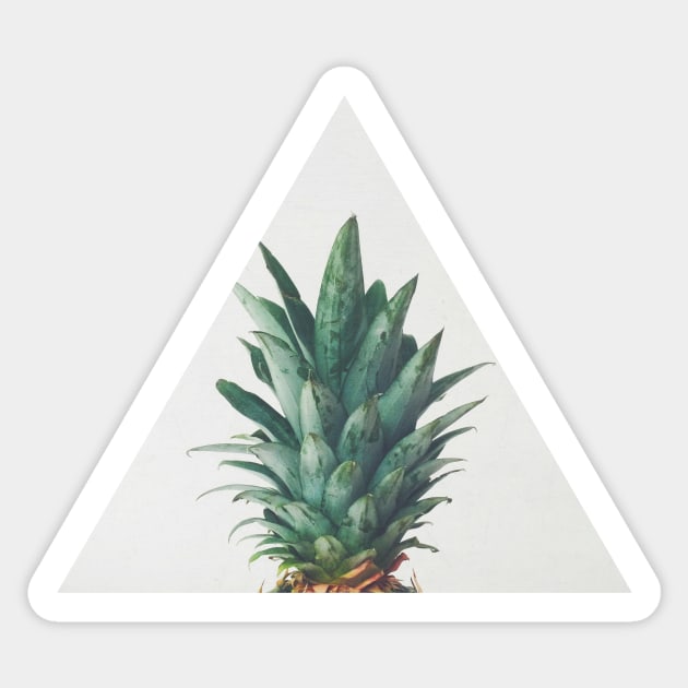 Pineapple Top Sticker by Cassia